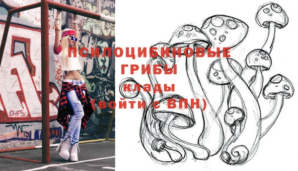 Альфа ПВП Аркадак
