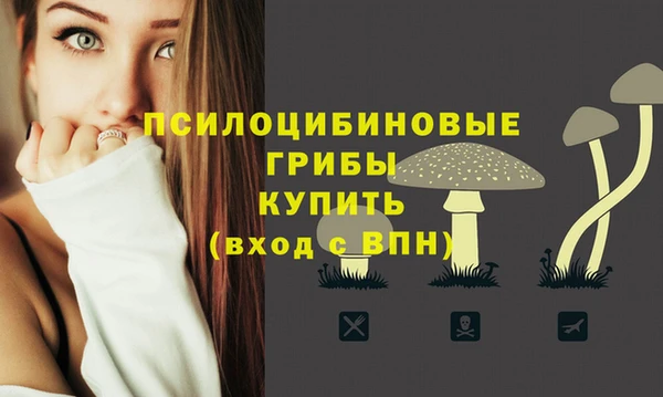Альфа ПВП Аркадак