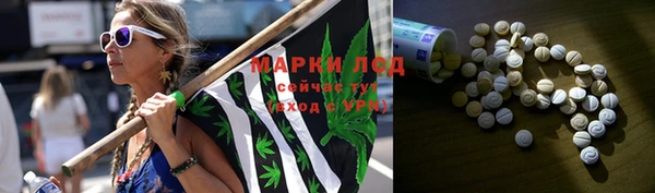 гидра Алзамай