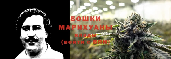 Альфа ПВП Аркадак