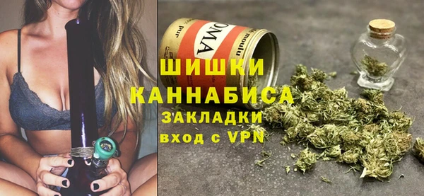 Альфа ПВП Аркадак