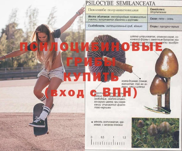 Альфа ПВП Аркадак
